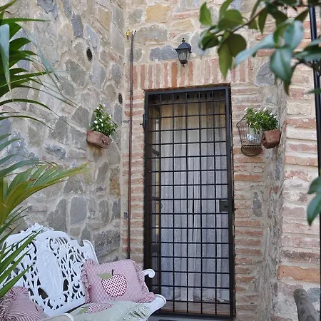 Il Tulipano