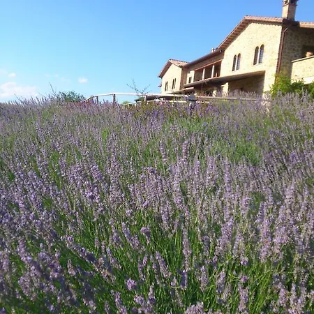 Il Tulipano Gioiella