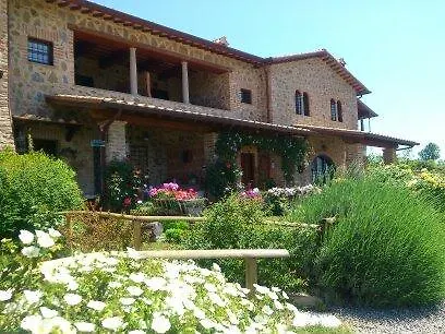 Il Tulipano