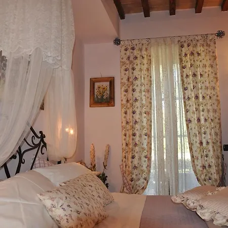 Il Tulipano